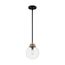 Axis 1 Light Pendant Fixture Matte Black Finish w/ Brass Accents Clear Glass (Pack of 2)