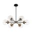 Axis 6 Light Chandelier Fixture Matte Black Finish w/ Brass Accents Clear Glass