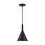 Lightcap 1 Light Small Pendant Fixture Matte Black Finish