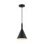 Lightcap 1 Light Small Pendant Fixture Matte Black Finish