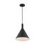 Lightcap 1 Light Large Pendant Fixture Matte Black Finish