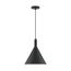 Lightcap 1 Light Large Pendant Fixture Matte Black Finish