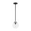 Axis 1 Light Pendant Fixture Matte Black Finish w/ Brushed Nickel Accents Clear Glass