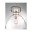 Teresa 1 Light Bell Pendant Fixture Burnished Brass Finish w/ Clear Glass