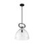 Teresa 1 Light Bell Pendant Fixture Matte Black Finish w/ Clear Glass