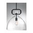 Teresa 1 Light Bell Pendant Fixture Matte Black Finish w/ Clear Glass