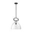 Teresa 1 Light Bell Pendant Fixture Matte Black Finish w/ Clear Glass