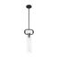 Teresa 1 Light Cylinder Pendant Fixture Matte Black Finish w/ Clear Glass