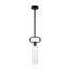 Teresa 1 Light Cylinder Pendant Fixture Matte Black Finish w/ Clear Glass