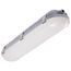 2 Foot 20 Watt Vapor Proof Linear Fixture CCT Selectable IP65 and IK08 Rated 0-10V Dimming 120V-347V