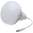 Temporary work light LED For use w/ remote drivers Low voltage 10W/12W/24W 3000K 12 Volts
