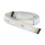 8 Watt 3FT Extension LED RGBW Strip Light Starfish IOT 120 Volt 800 Lumens