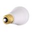 10 Watt A19 LED Bulb - 3000K - Medium base - 120 Volt - Left Hand Thread (5 Pack)