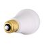 10 Watt A19 LED Bulb - 4000K - Medium base - 120 Volt - Left Hand Thread (5 Pack)