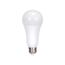 20 Watt - A21 LED Bulb - 4000K - Medium base - 220 deg. Beam Angle - 120-277 Volt (3 Pack)