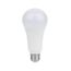 20 Watt - A21 LED Bulb - 5000K - Medium base - 220 deg. Beam Angle - 120-277 Volt (3 Pack)
