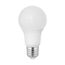 9 Watt A19 LED Bulb - 5000K - Medium base - 220 deg. Beam Angle (20 Pack)