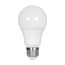 9 Watt A19 LED Bulb - 2700K - Medium base - 220 deg. Beam Angle (100 Pack)