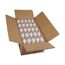 9 Watt A19 LED Bulb - 2700K - Medium base - 220 deg. Beam Angle (100 Pack)