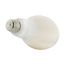 30 Watt LED HID Replacement Bulb - ED23 - 5000K - Medium base - 120-277 Volt - Type B Ballast Bypass (1 Pack)