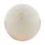 36 Watt LED HID Replacement Bulb - ED28 - 5000K - Mogul extended base - 120-277 Volt - Type B Ballast Bypass (1 Pack)