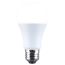 15 Watt - A19 LED Bulb - 5000K - Medium base - 180 deg. Beam Angle -120 Volt (1 Pack)