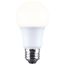 9.8V - A19 LED Bulb - 5000K - Medium Base - 230 deg. Beam Angle - 120-277V (6 Pack)