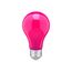 8 Watt A19 LED Bulb - Ceramic Pink - Medium base - 360 deg. Beam Angle - 120 Volt (8 Pack)