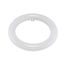 LED Circline - 11 Watt T9 Bulb - 6500K - G10Q Base - 120-277 Volt - Type B - Ballast Bypass (2 Pack)
