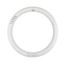 LED Circline - 16 Watt T9 Bulb - 3000K - G10Q Base - 120-277 Volt - Type B - Ballast Bypass (2 Pack)