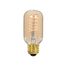 40 Watt T14 Incandescent Bulb - Clear - 3000 Average rated hours - 160 Lumens - Medium base - 120 Volt (5 Pack)