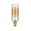 40 Watt T9 Incandescent Bulb - Clear Gold - 3000 Average rated hours - 160 Lumens - Candelabra base - 120 Volt (6 Pack)