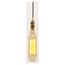 60 Watt T24 Incandescent Vintage Style Bulb - Amber - 2000 Average rated hours - Medium Base - 120 Volt (2 Pack)