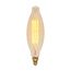 100 Watt BT38 Incandescent Vintage Style Bulb - Amber - 2000 Average rated hours - Medium Base - 120 Volt (2 Pack)