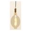 60 Watt BT56 Incandescent Vintage Style Bulb - Amber - 2000 Average rated hours - Medium Base - 120 Volt (2 Pack)