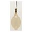 60 Watt BT56 Incandescent Vintage Style Bulb - Amber - 2000 Average rated hours - Medium Base - 120 Volt (2 Pack)