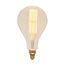 60 Watt PS52 Incandescent Vintage Style Bulb - Amber - 2000 Average rated hours - Medium Base - 120 Volt (1 Pack)