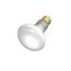 30 Watt R20 Incandescent Bulb - Frost - 2000 Average rated hours - 185 Lumens - Medium base - 130 Volt (20 Pack)