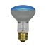 50 Watt R20 Incandescent Bulb - Grow - 2000 Average rated hours - Medium base - 120 Volt (10 Pack)