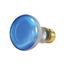 50 Watt R20 Incandescent Bulb - Grow - 2000 Average rated hours - Medium base - 120 Volt (10 Pack)