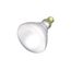 65 Watt BR40 Incandescent Bulb - Frost - 2500 Average rated hours - 580 Lumens - Medium base - 120 Volt