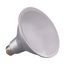 17.5 Watt - PAR38 LED Bulb - 4000K - 40 deg. Beam Angle - Medium base - 120 Volt (3 Pack)