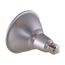 17.5 Watt - PAR38 LED Bulb - 4000K - 40 deg. Beam Angle - Medium base - 120 Volt (3 Pack)