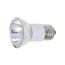 100 Watt Halogen - JDR Bulb - Clear - 2000 Average rated hours - 1000 Lumens - European Medium base - 120 Volt (6 Pack)