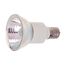 75 Watt Halogen - JDR Bulb - Clear - 2000 Average rated hours - 700 Lumens - Intermediate base - 120 Volt (6 Pack)