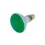 75 Watt BR30 Incandescent Bulb - Green - 2000 Average rated hours - Medium base - 130 Volt (8 Pack)