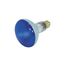 75 Watt BR30 Incandescent Bulb - Blue - 2000 Average rated hours - Medium base - 130 Volt (8 Pack)