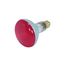 75 Watt BR30 Incandescent Bulb - Red - 2000 Average rated hours - Medium base - 130 Volt (8 Pack)