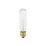 25 Watt T10 Incandescent Bulb - Clear - 2000 Average rated hours - 200 Lumens - Medium base - 120 Volt (40 Pack)