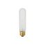 25 Watt T10 Incandescent Bulb - Frost - 2000 Average rated hours - 200 Lumens - Medium base - 120 Volt (40 Pack)